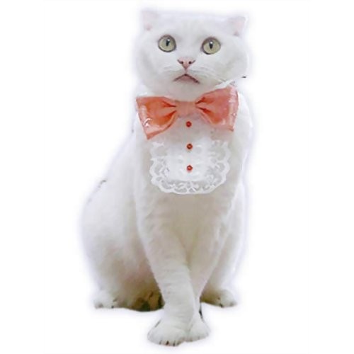 愛猫の服 キャットプリン ウェディング・タキシード ピンク 1枚　キャットウエア 付け襟 ネックカラー 帽子 コスプレ