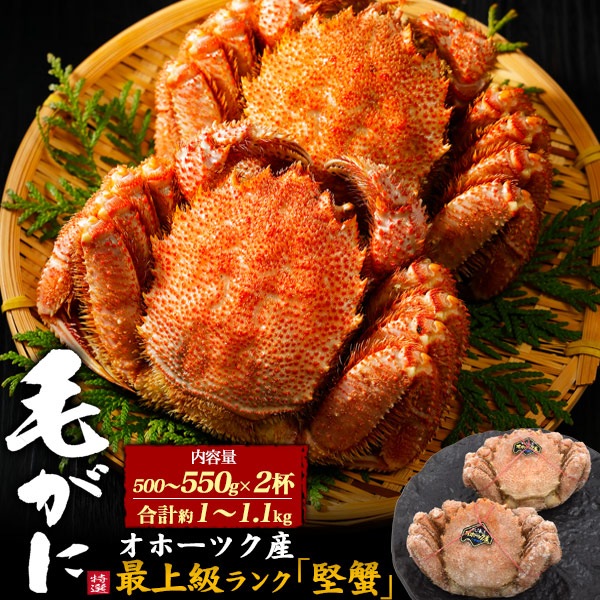 毛ガニ 2杯 約500～550g×2 合計約1kg～1.1kg 最上級ランク「堅蟹」 オホーツク産 美味しい 高級 食べ方ガイド付き