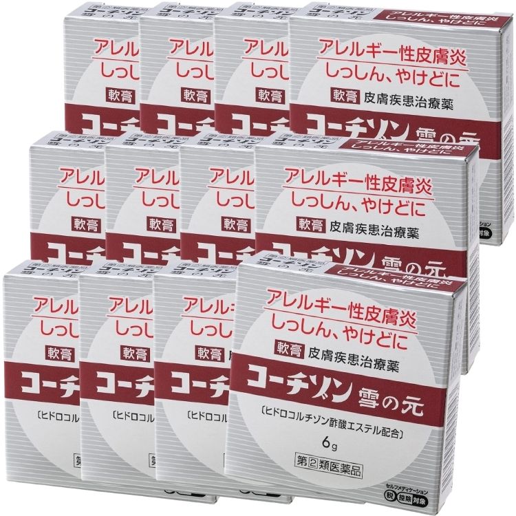 指定第2類医薬品 12個セット 雪の元本店 コーチゾン雪の元 6g 皮膚炎 皮膚薬
