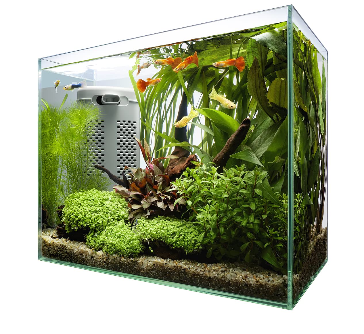 テトラ (Tetra) テトラ サイレントフレックスセット 30 ガラス 水槽 アクアリウム 熱帯魚 メダカ 金魚 その他 魚 4,524円