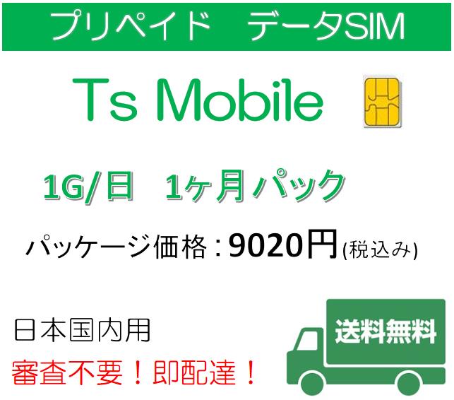 データ通信 日本国内 SIM 高速データ容量1G/日1ヶ月プラン