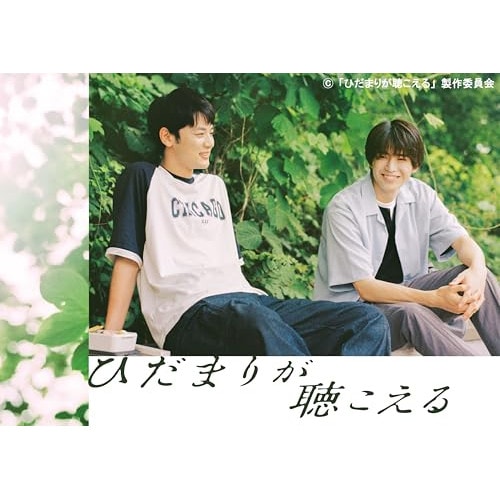 ひだまりが聴こえる DVD-BOX ／ 中沢元紀/小林虎之介 (DVD) VPBX-15793