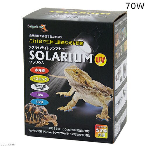 ペットペットゾーン　ソラリウム　７０Ｗ　ランプ交換球ソケットセット　爬虫類　ライト　紫外線　ＣＲＣ17―41―10―10―00