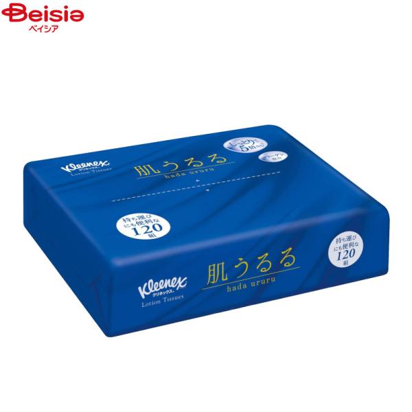 �N���l�b�N�X �e�B�V���[ ���[�V���� ������� �\�t�g�p�b�N 240��(120�g)