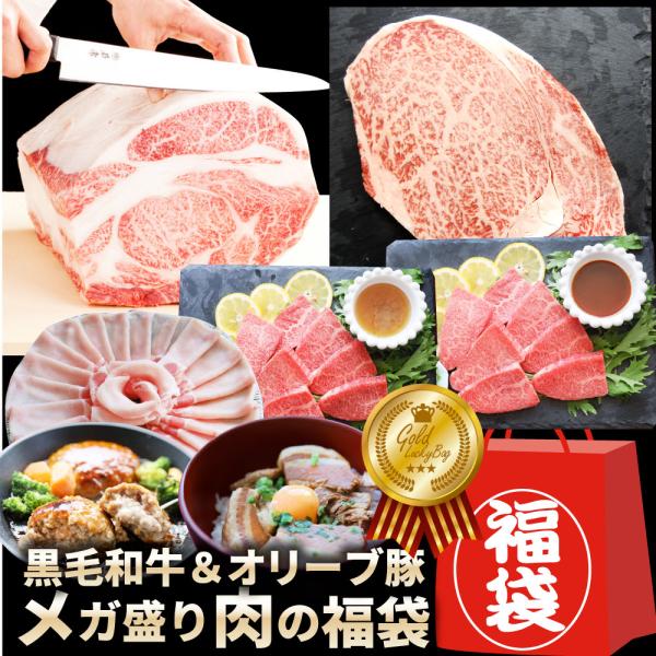 肉の福袋 ゴールド メガ盛り A4,A5等級 黒毛和牛入り 総重量1.48kg（ 6種 食べ比べ ）完全赤字の肉袋 人気のお肉ばかりの豪華セット 福袋
