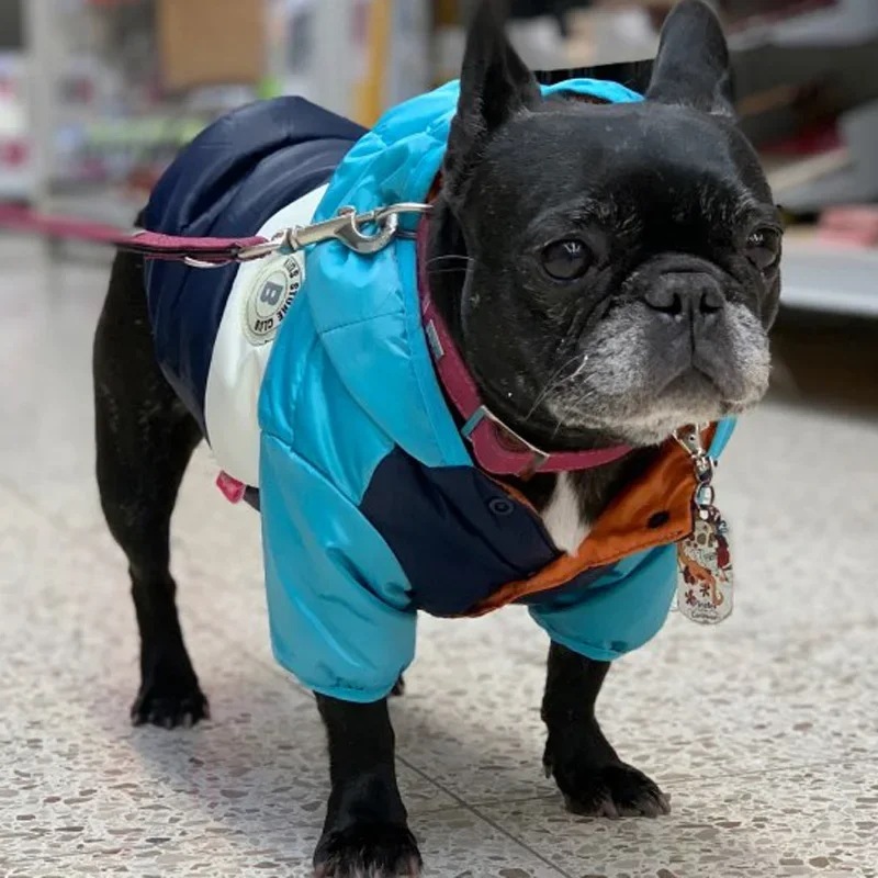 大型犬用防水ジャケット,暖かい犬の服,小,中,フレンチブルドッグ,ペット用フード付きコート,衣類