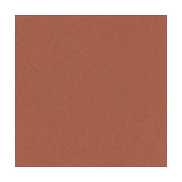 （まとめ）リンテック ニューカラーR 四つ切 ちゃいろ 4NCR-236 100枚[x5]