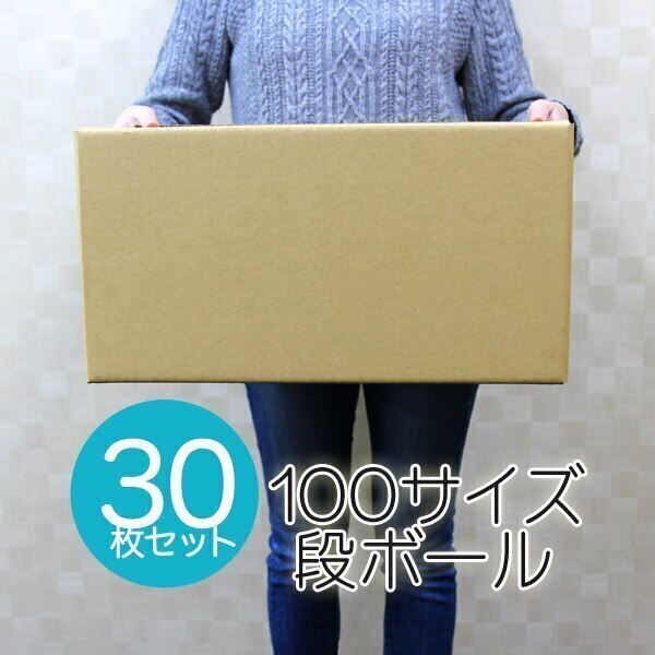 ダンボール 段ボール 100サイズ 30枚 茶色 日本製 引越し 無地 梱包 メルカリ フリマ ラクマ ヤフオク 宅配便