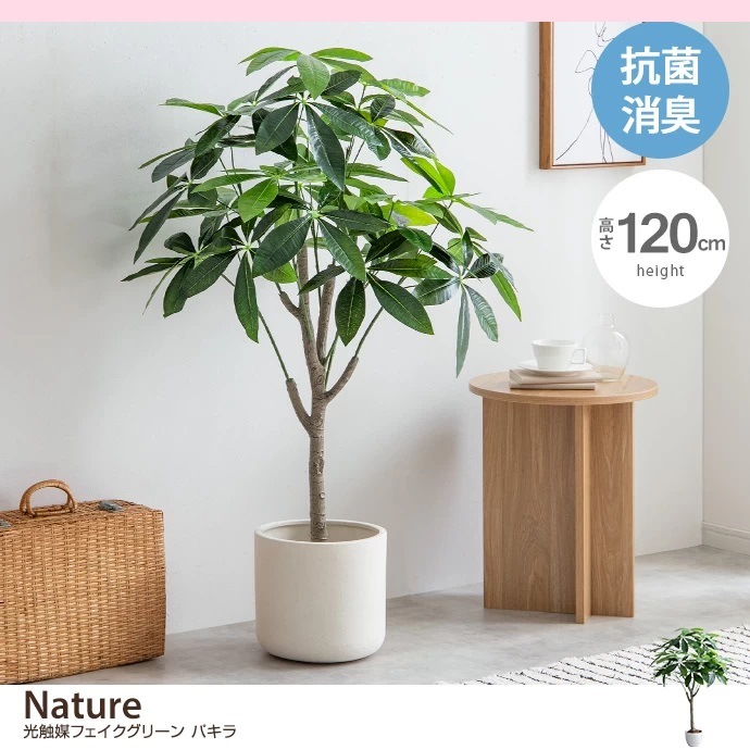 消臭・抗菌効果のある光触媒【高さ120cm】Nature 光触媒人工観葉植物 パキラ フェイクグリーン 人工観葉植物 光触媒 空気清浄 消臭 抗菌 防汚 ホルムアルデヒド分解 メンテナンス不要