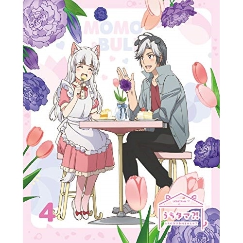 うちタマ! うちのタマ知りませんか4(完全生産限定版) ／ うちタマ! うちのタマ知りませんか (DVD) ANZB-13717