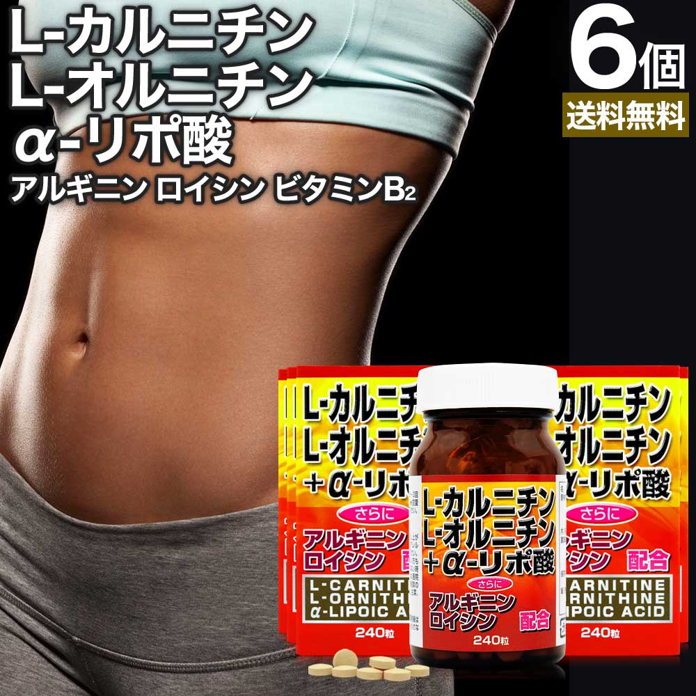 L-カルニチン＋α-リポ酸 240粒*6個 約180日分 カルニチン lカルニチン エルカルニチン リポ酸 サプリメント サプリ