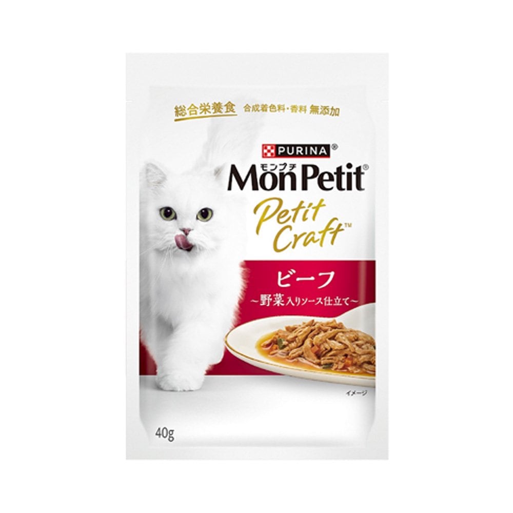 プチクラフト　ビーフ　野菜入りソース仕立て　４０ｇX４８　ＣＲＣ35―20―75―10―71