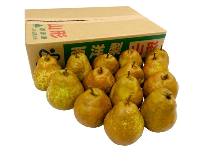山形産 =メロウリッチ= 秀品 10-16玉前後 約5kg 洋梨 予約 10月以降