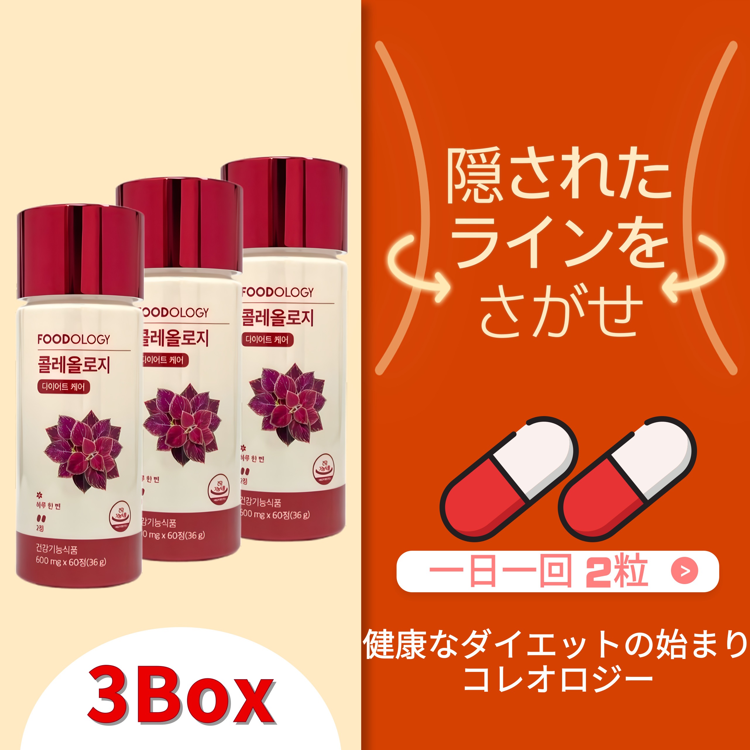 コレオロジー 60粒 *3 [1日 2粒] 体脂肪減少 基礎代謝量の上昇