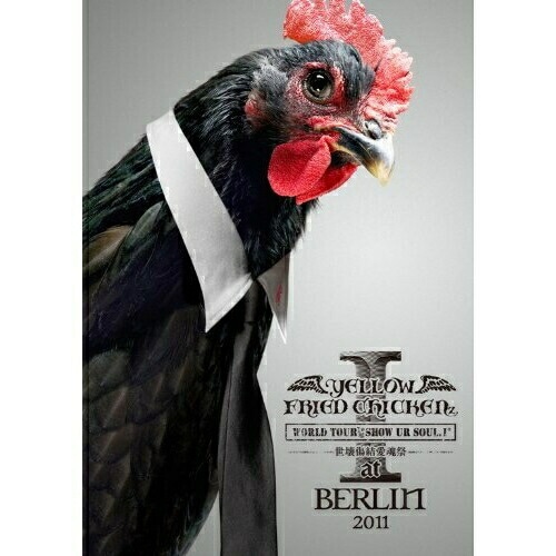 YELLOW FRIED CHICKENz ／ WORLD TOUR*SHOW UR SOUL.I*世壊傷結愛魂祭 at... (DVD) YIBQ-10231
