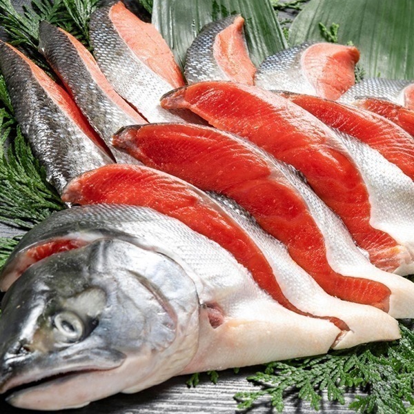 北海道産新巻鮭 カット済み 新巻鮭 3キロ さけ サケ 鮭 しゃけ 荒巻鮭 塩分約1.5％ 贈答用 2箱3kg 7,392円