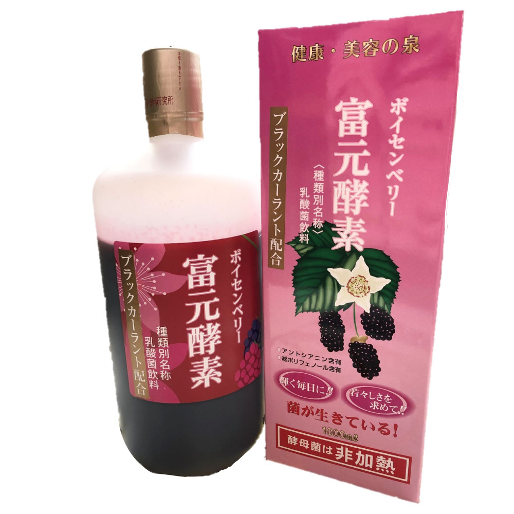 富元酵素ボイセンベリーブラックカーラント配合 1000ml 乳酸菌飲料 野生酵母パワー