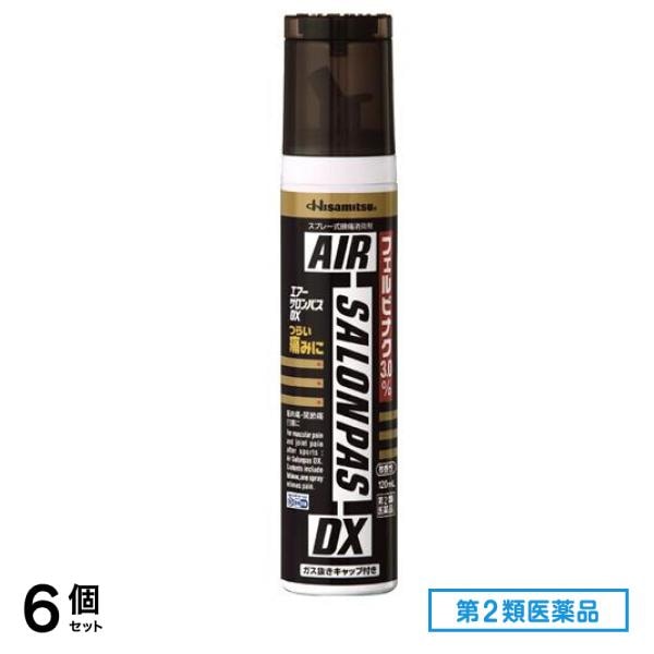 第２類医薬品 エアーサロンパスDX 120mL 6個セット