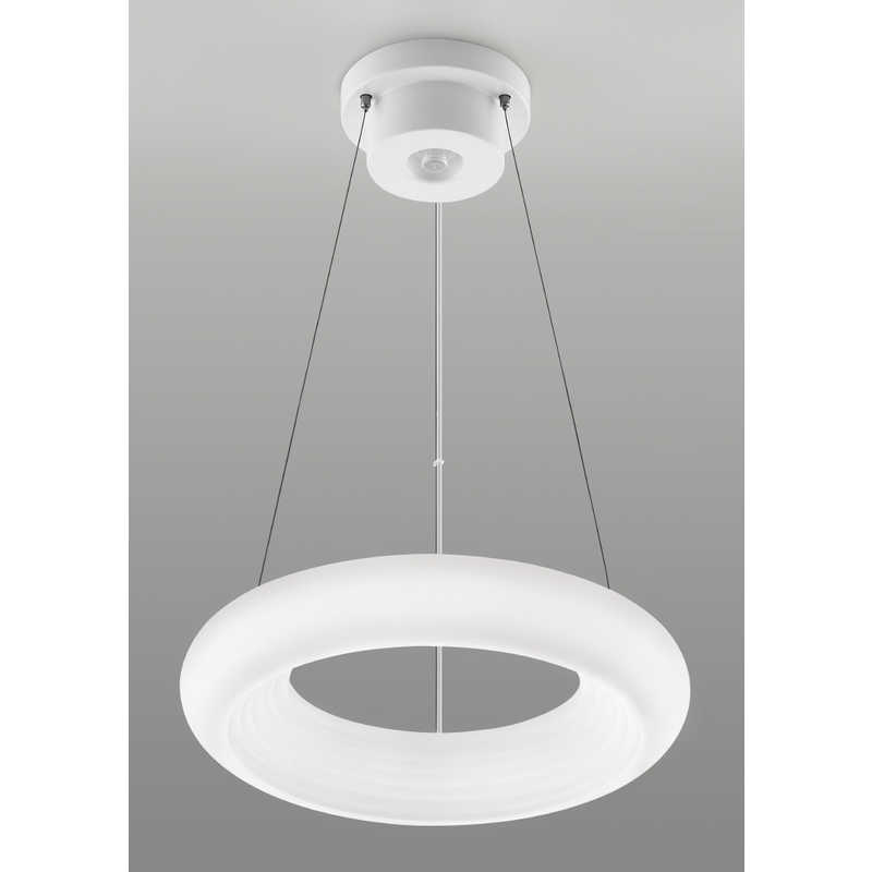 東芝　TOSHIBA　LEDペンダントライト [8畳 昼光色～電球色 リモコン付属]　NLEP08000A-LC 12,496円