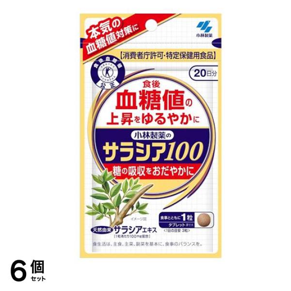 小林製薬 サラシア100 特定保健用食品 20日分 60粒 6個セット