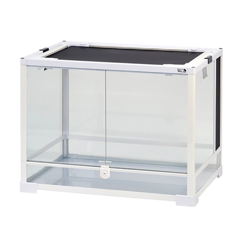 爬虫類ケージ　三晃商会　パンテオンカノン　ホワイト　ＷＨ６０４５　お一人様１点限り　ＣＲＣ17―15―05―60―00