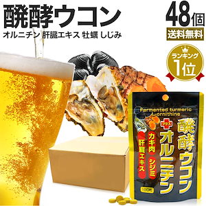 醗酵ウコン＋オルニチン 180粒*48個 約1056-1440日分 肝臓エキス 肝臓サプリ 肝臓ケアサプリメント 肝臓サポート サプリメント サプリ