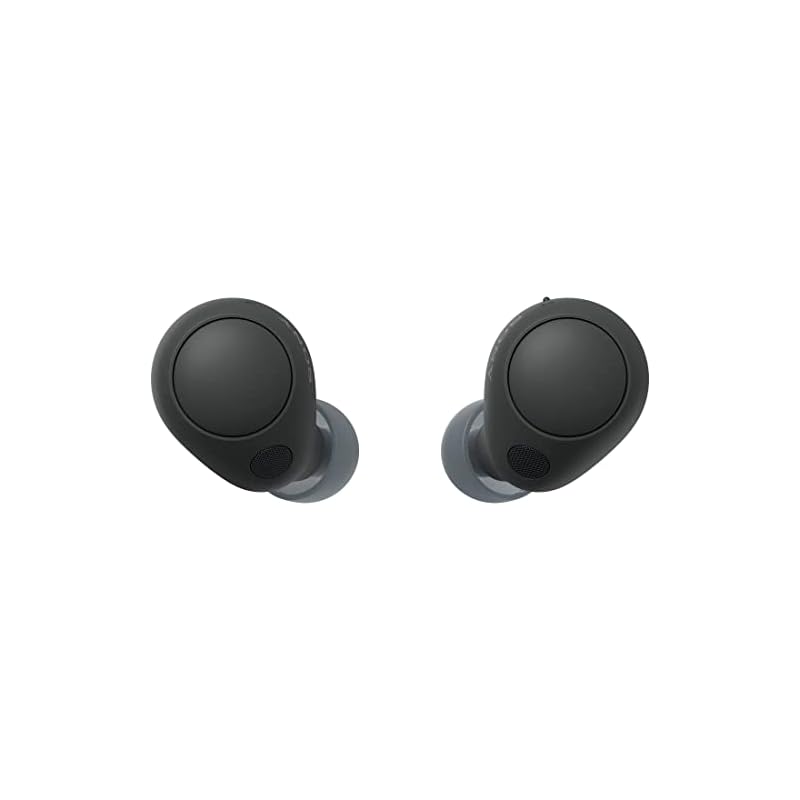 ソニー(SONY) 完全ワイヤレスイヤホン WF-C700N :高性能ノイズキャンセリング搭載/軽量・小型設計/音質アップスケール機能搭載/連続音楽再生時間最長 7.5時間/IPX4防滴性能/急速充電