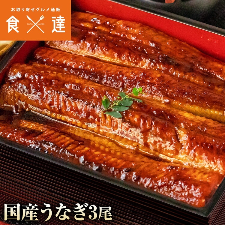 国産うなぎ 3尾 約150g x3 鰻 うなぎ ウナギ 蒲焼 かば焼き 土用丑 土用 丑の日 スタミナ 夏 冷凍便 ギフト お取り寄せグルメ 食品 指定日不可