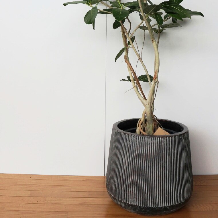 植木鉢 おしゃれ アンティーク テラコッタ AQ001M 32cm 10号 底穴あり プランター 鉢 室内 屋外 観葉植物