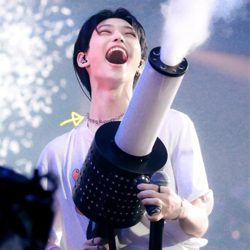 straykids フィリックス 着用 ネックレス HIGHTEEN HEART RING CAHIN SURGICAL CHOKER NECKLACE 5,313円