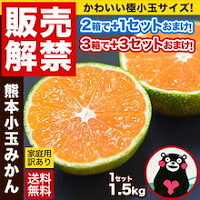 販売解禁 小玉 みかん 訳あり 1.5kg 小粒 ミカン 柑橘 熊本 極早生 3s-sサイズ 家庭用