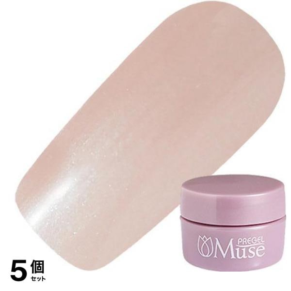 PREGEL(プリジェル) ミューズ P343 トウシューズ 3g 5個セット