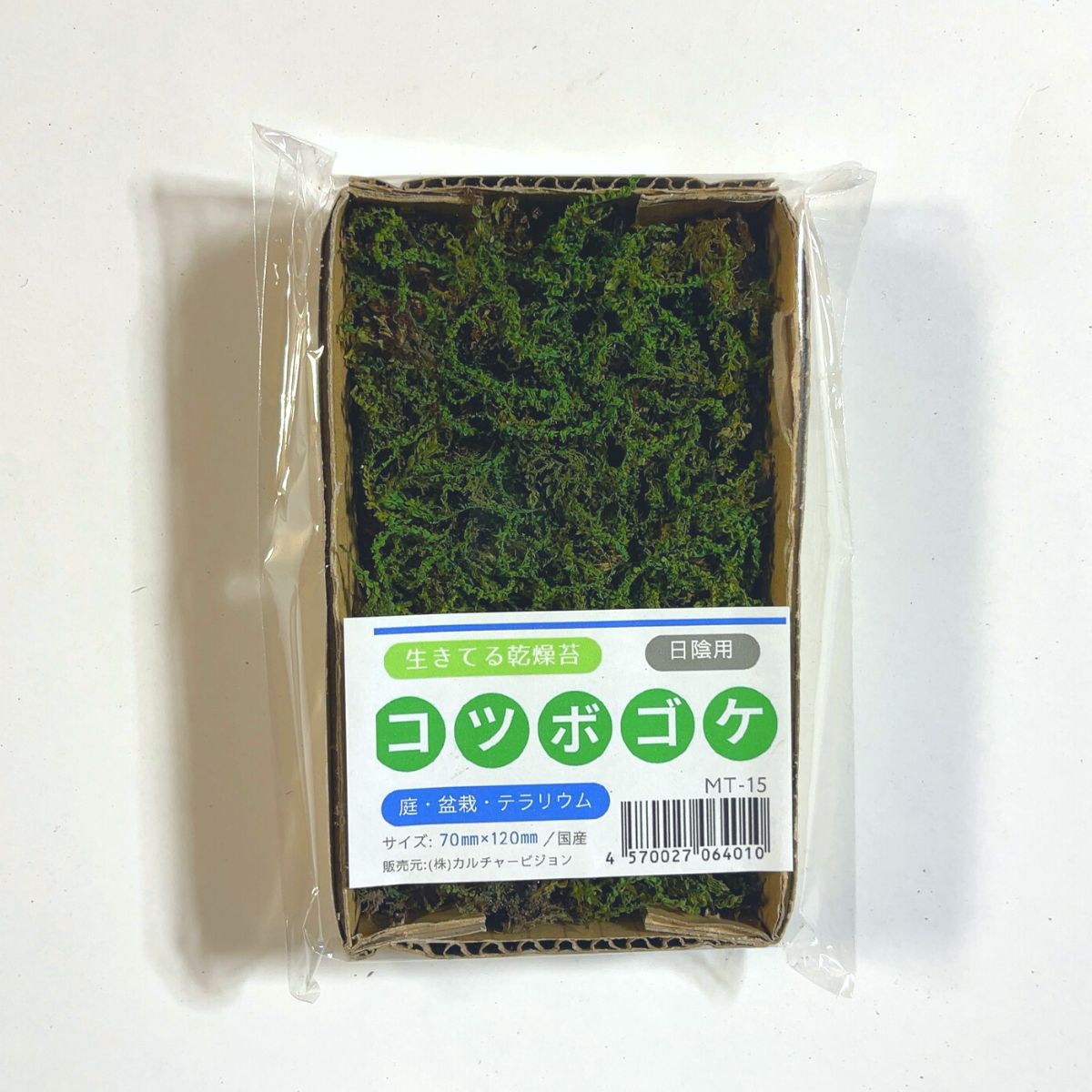 コツボゴケ 70×120mm【6個セット】庭園 造園 盆栽 苔 ジオラマ テラリウム コケリウム インテリア グリーン モスパネル モスウォール 花材 日本製 6,810円