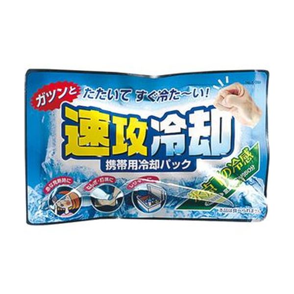 （まとめ）紀陽除虫菊 携帯用冷却パック 速攻冷却K-2001 1セット（10個）[x10セット]