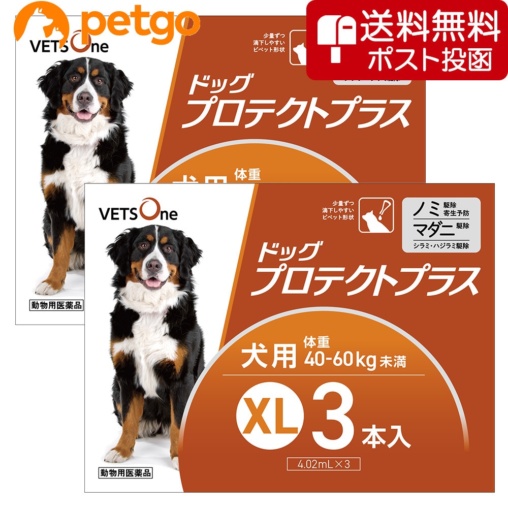 【ネコポス(同梱不可)】【2箱セット】ベッツワン ドッグプロテクトプラス 犬用 XL 3本 (動物用医薬品)