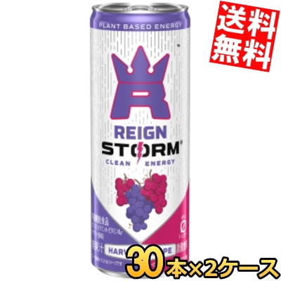 アサヒ レインストーム ハーベストグレープ 250ml缶 60本(30本×2ケース) 炭酸飲料 エナジードリンク 栄養機能食品 ゼロカロリー カロリーゼロ ゼロシュガー グアバストロベリー