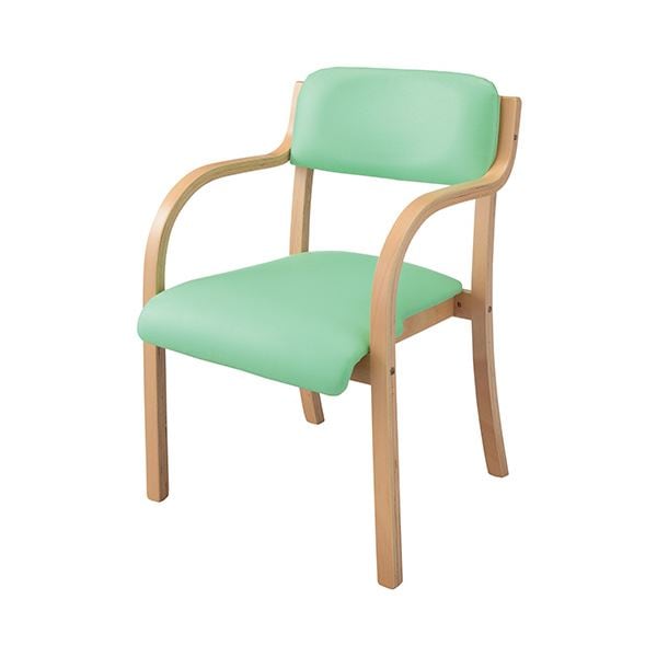 ホームスタイリング スタッキングチェアー カーム ビニールレザー グリーン SCC-GN-NA 1脚組立品