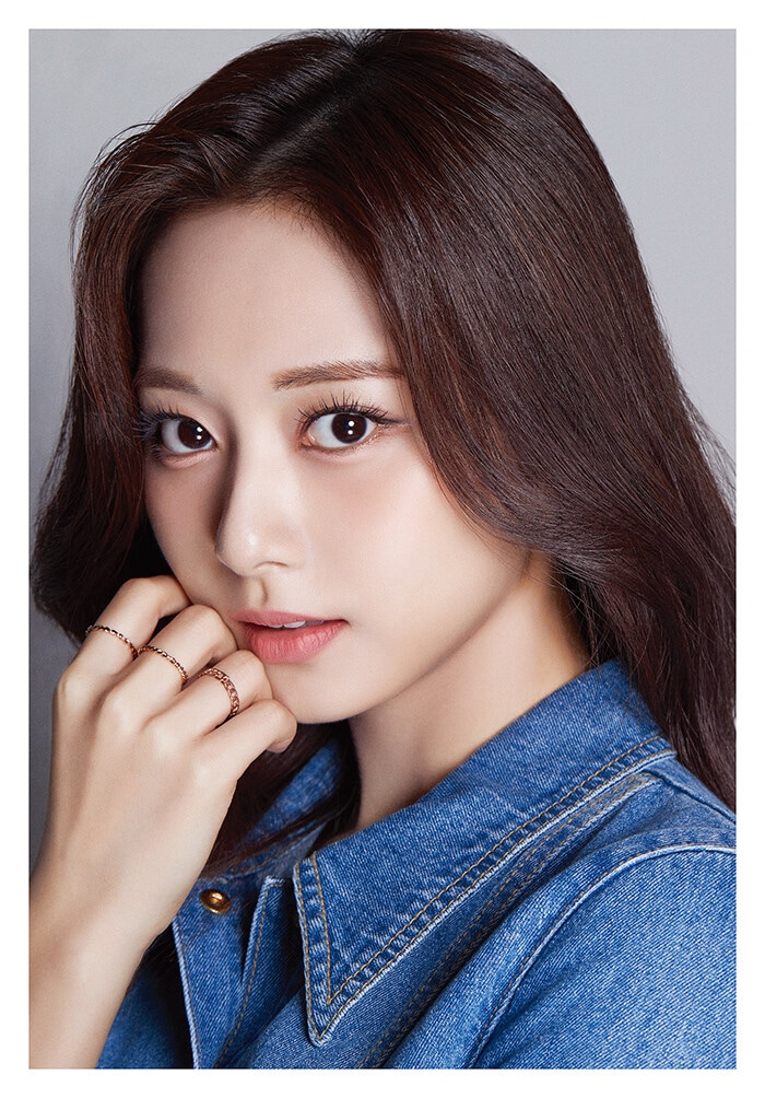 【未開封新品】ディアイコン ディフェスタ DICON D’FESTA TWICE 8 : TZUYU TWICE ツウィ - Dispatch 10th Anniversary 7,474円