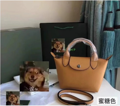 L0NGCHAMP 新作 ショルダー 羊革 クロス トート 餃子バッグ ミニ ハンドバッグ ブラウン