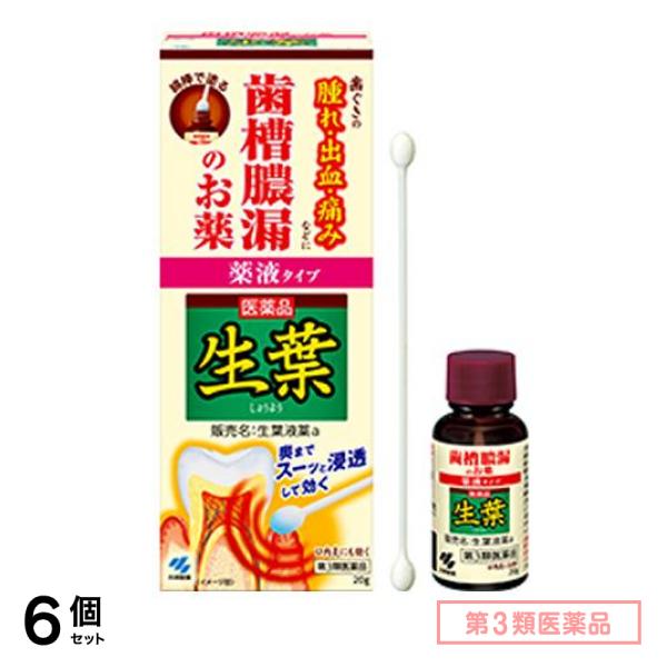 第３類医薬品 生葉(しょうよう)液薬 薬液タイプ 20g+綿棒(約15cm)30本 60回分 6個セット