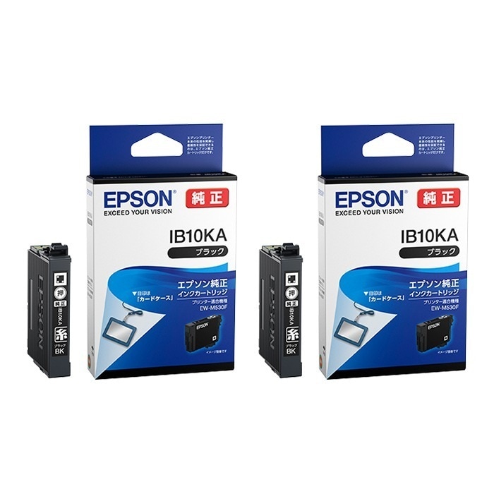 純正 インクカートリッジ ブラック IB10KA 2個セット IB10KA-2SET 【メール便】