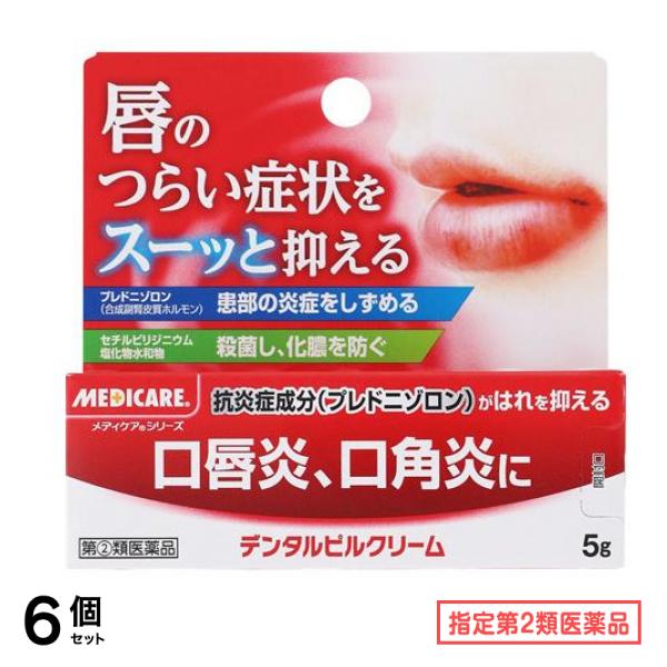 指定第２類医薬品 デンタルピルクリーム 5g 6個セット