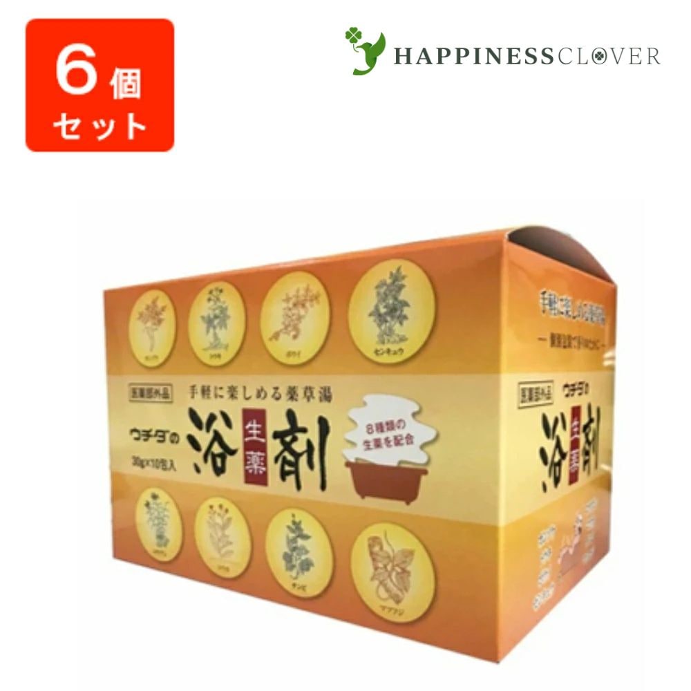 【6個セット】ウチダの浴剤 30g 10包 医薬部外品 入浴剤 ウチダ和漢薬 リウマチに効く