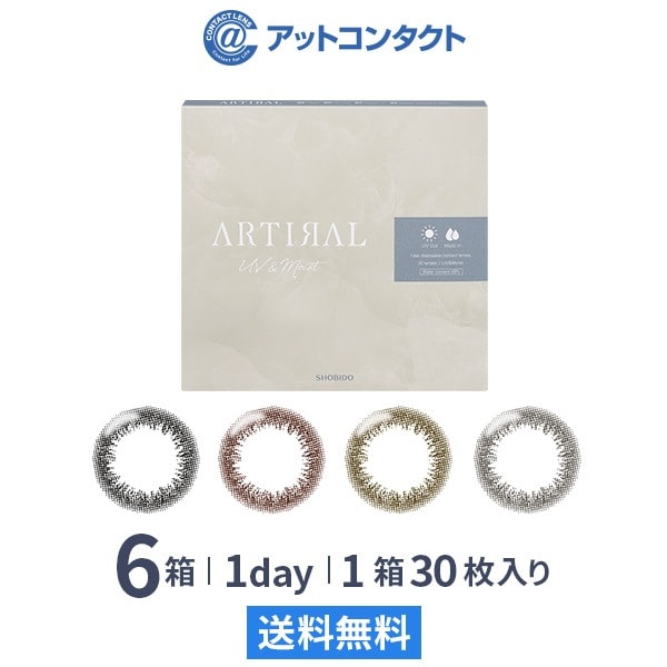 アーティラルワンデー58UVM 30枚 6箱