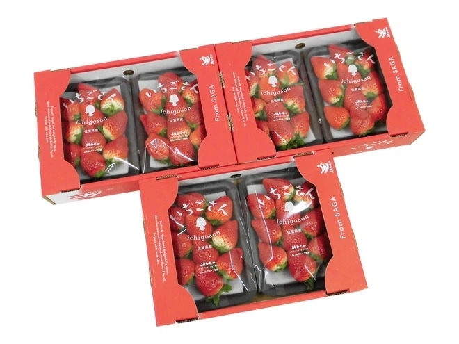 佐賀 =いちごさん= 秀品 3L-5Lサイズ 約250gx2パックx 3箱 化粧箱 予約 12月-1月以降