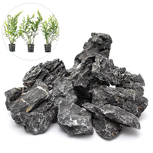 （水草）レイアウト素材水草セットＶｅｒ．白流石　（ミニポット　ボルビティス　ヒュディロティ（３ポット））（１セット）　ＣＲＣ12―23―30―00―00 5,026円