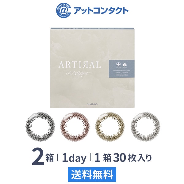 アーティラルワンデー58UVM 30枚 2箱