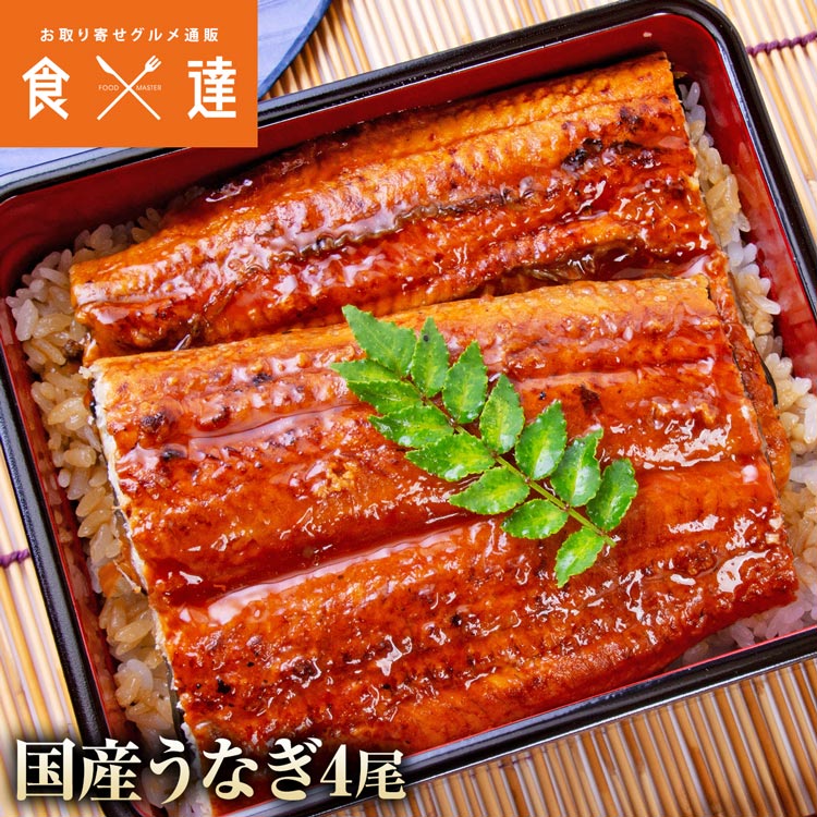 国産うなぎ 4尾 約150g x4 鰻 うなぎ ウナギ 蒲焼 かば焼き 土用丑 土用 丑の日 スタミナ 夏 冷凍便 ギフト お取り寄せグルメ 食品 指定日不可