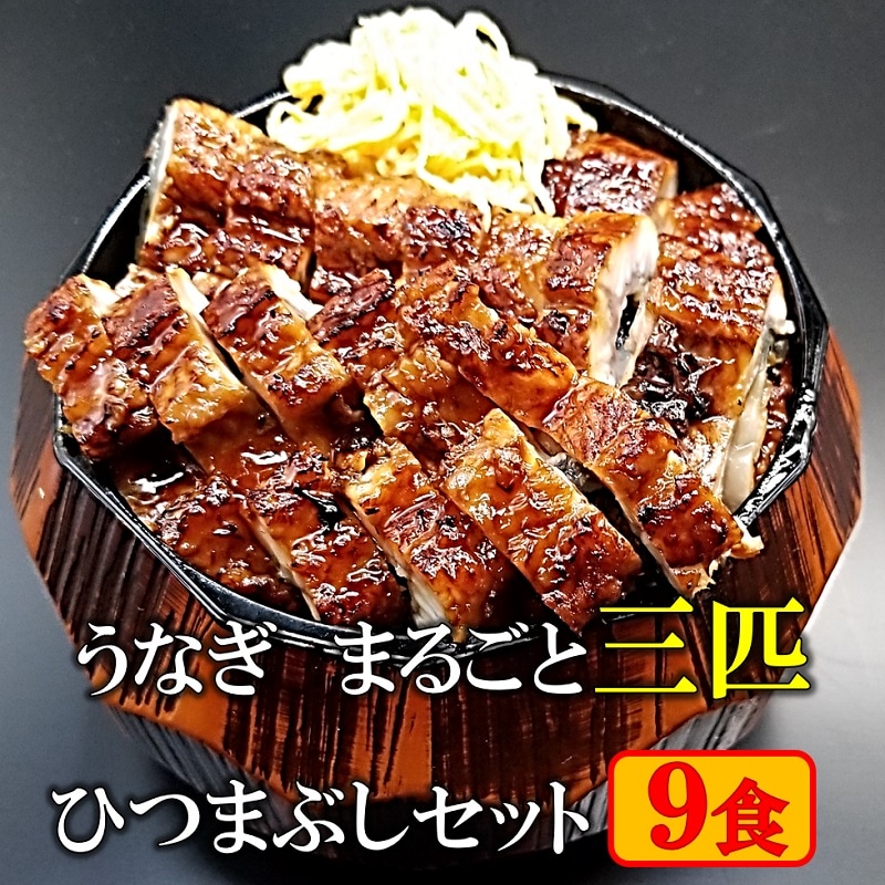 うなぎ まるごと一匹 ひつまぶし 3食 無添加 冷凍 のし対応 化粧箱 送料無料 鹿児島産 鰻 ウナギ 国産 特大うなぎ ギフト 贈り物 ご贈答 プレゼント