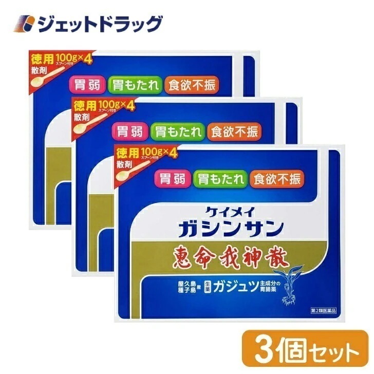 【第2類医薬品】恵命我神散 100g 4袋入 ×3個